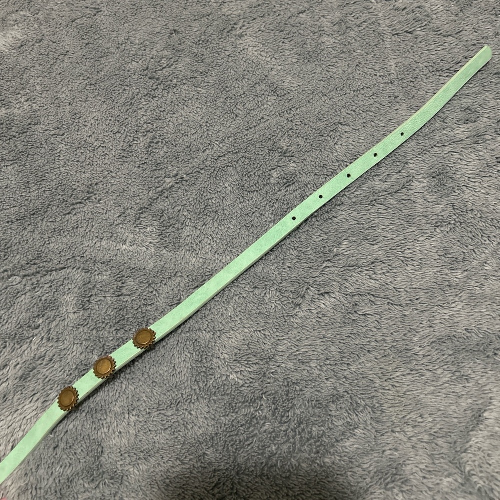 Vintage-Style Mint Green Skinny Belt with Bronze Sunburst Studs - Picture 3 of 8